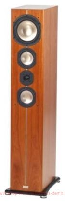 ASW Cantius 604