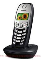 Siemens Gigaset C45