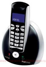 Voxtel Profi 2900