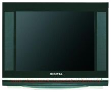 Digital DTV-S299